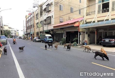 頻繁出車禍